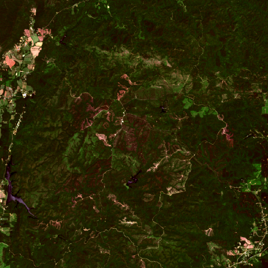 Source satellite image corresponding to the HLS burn scar sample